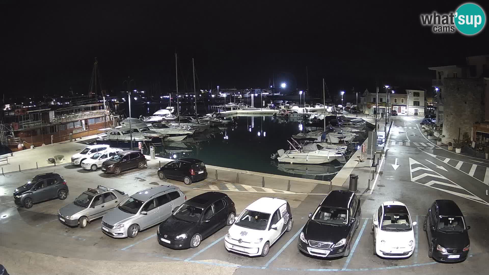 Novigrad | Porporela marina