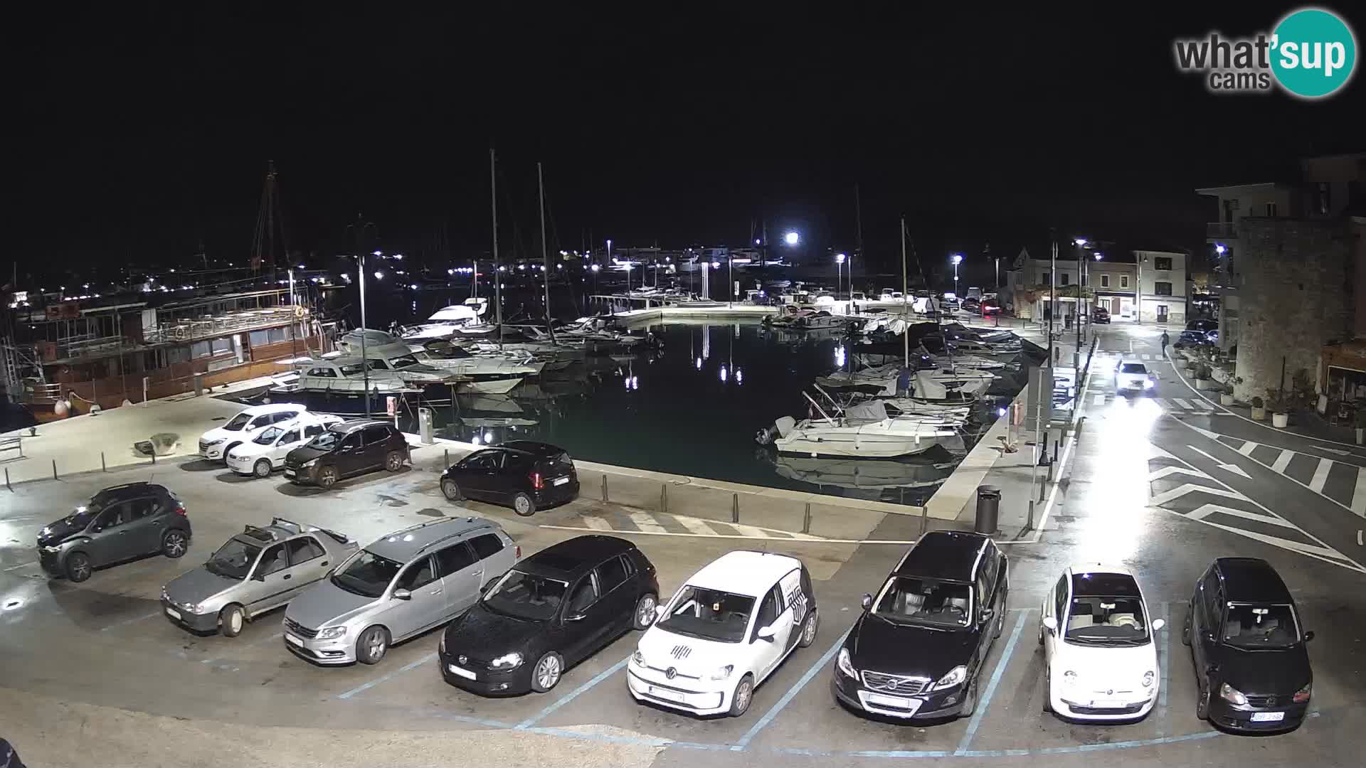 Novigrad | Porporela marina