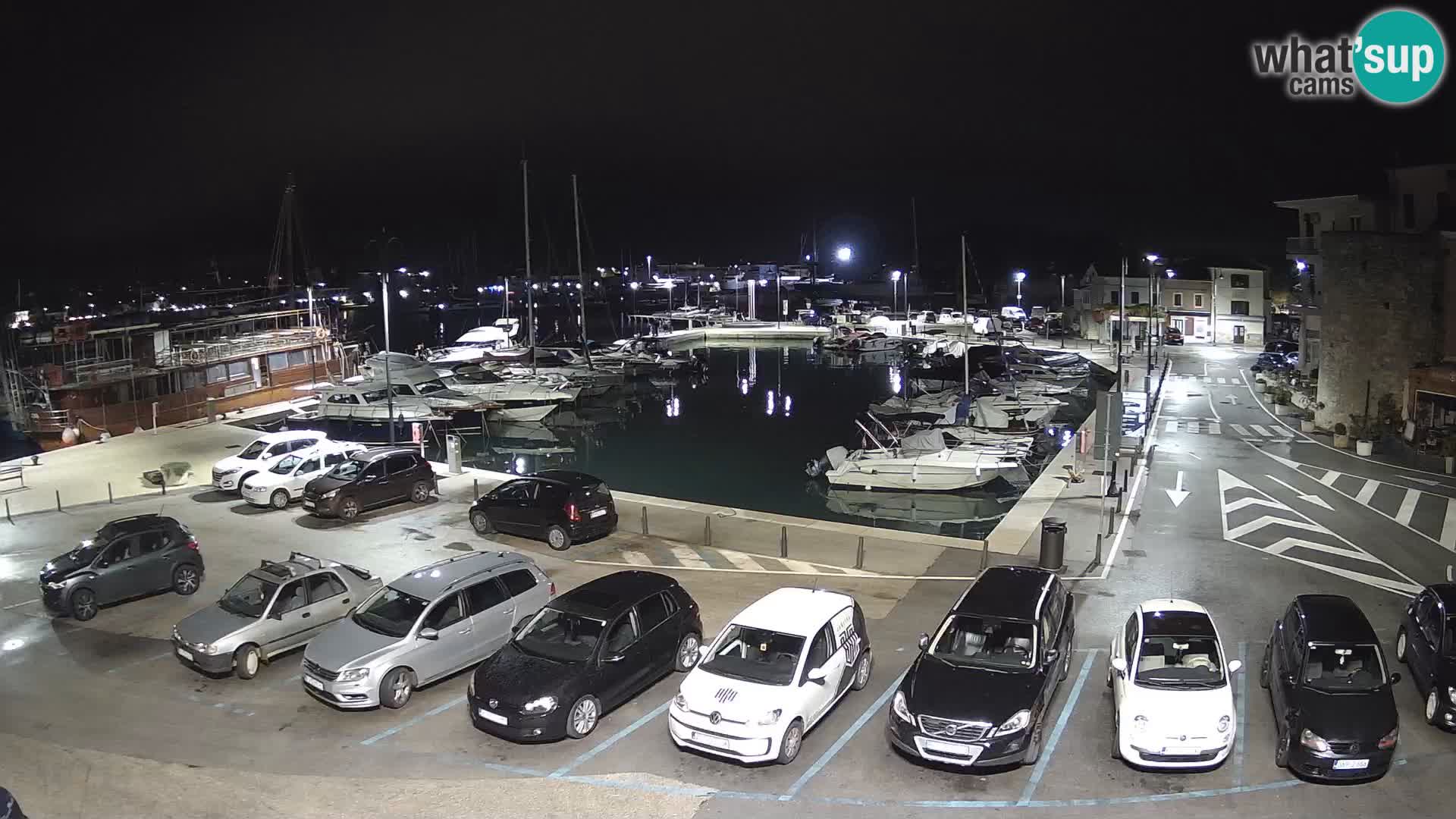 Novigrad | Porporela marina