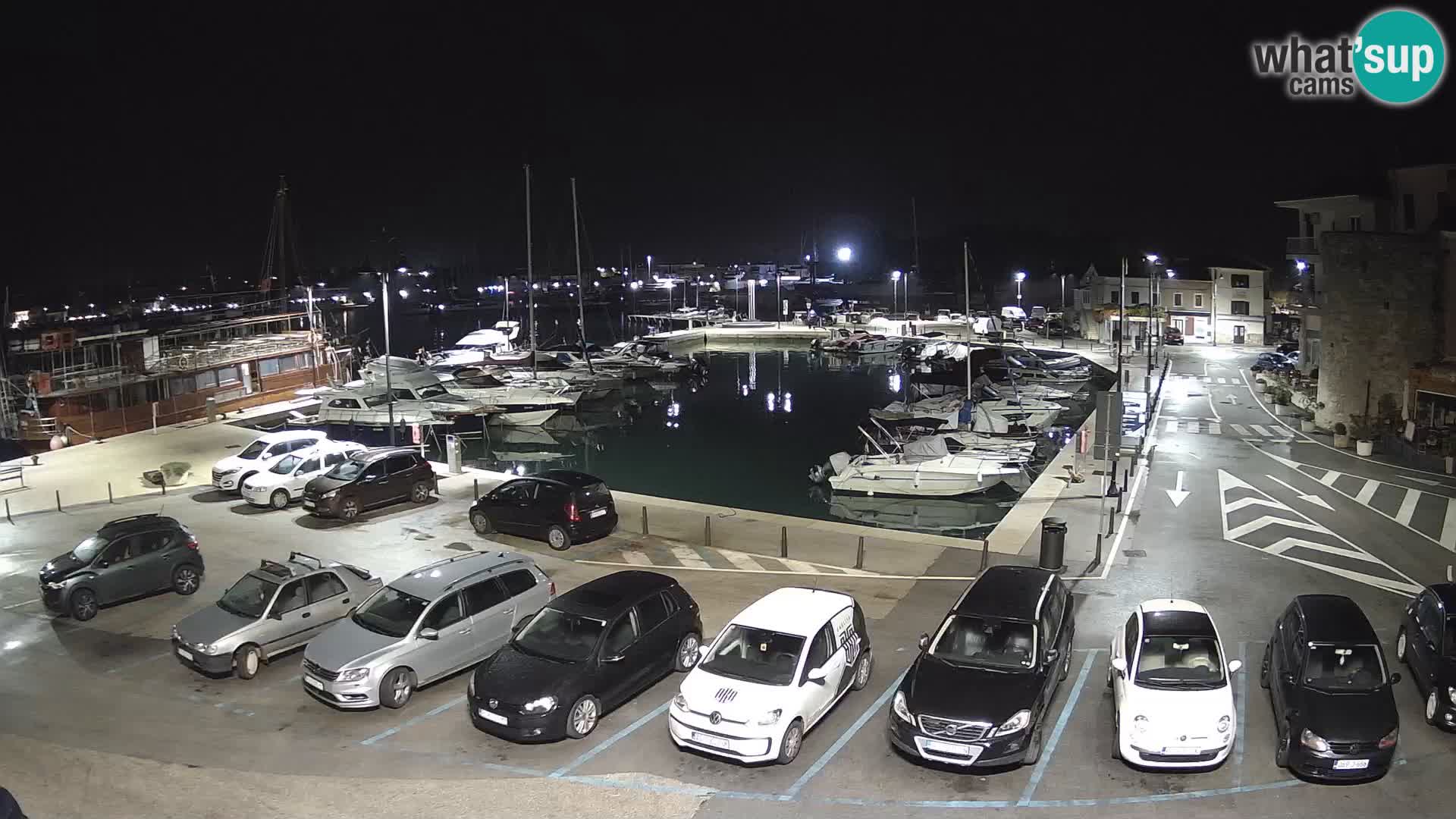 Novigrad | Porporela marina