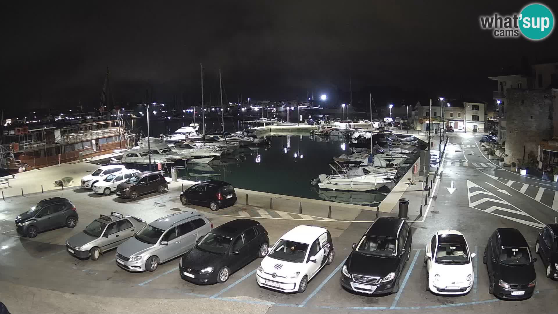 Novigrad | Porporela marina
