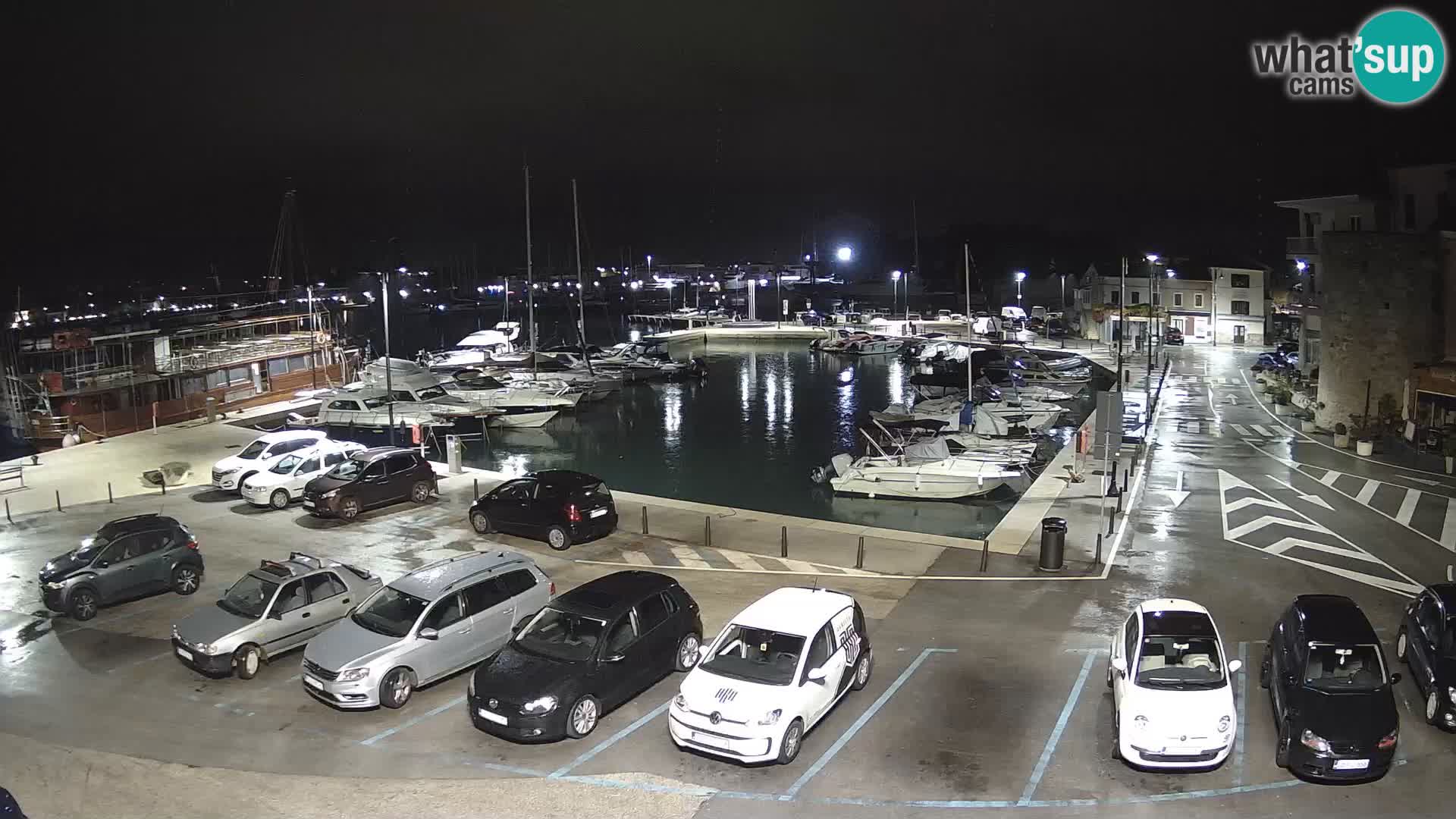 Novigrad | Porporela marina