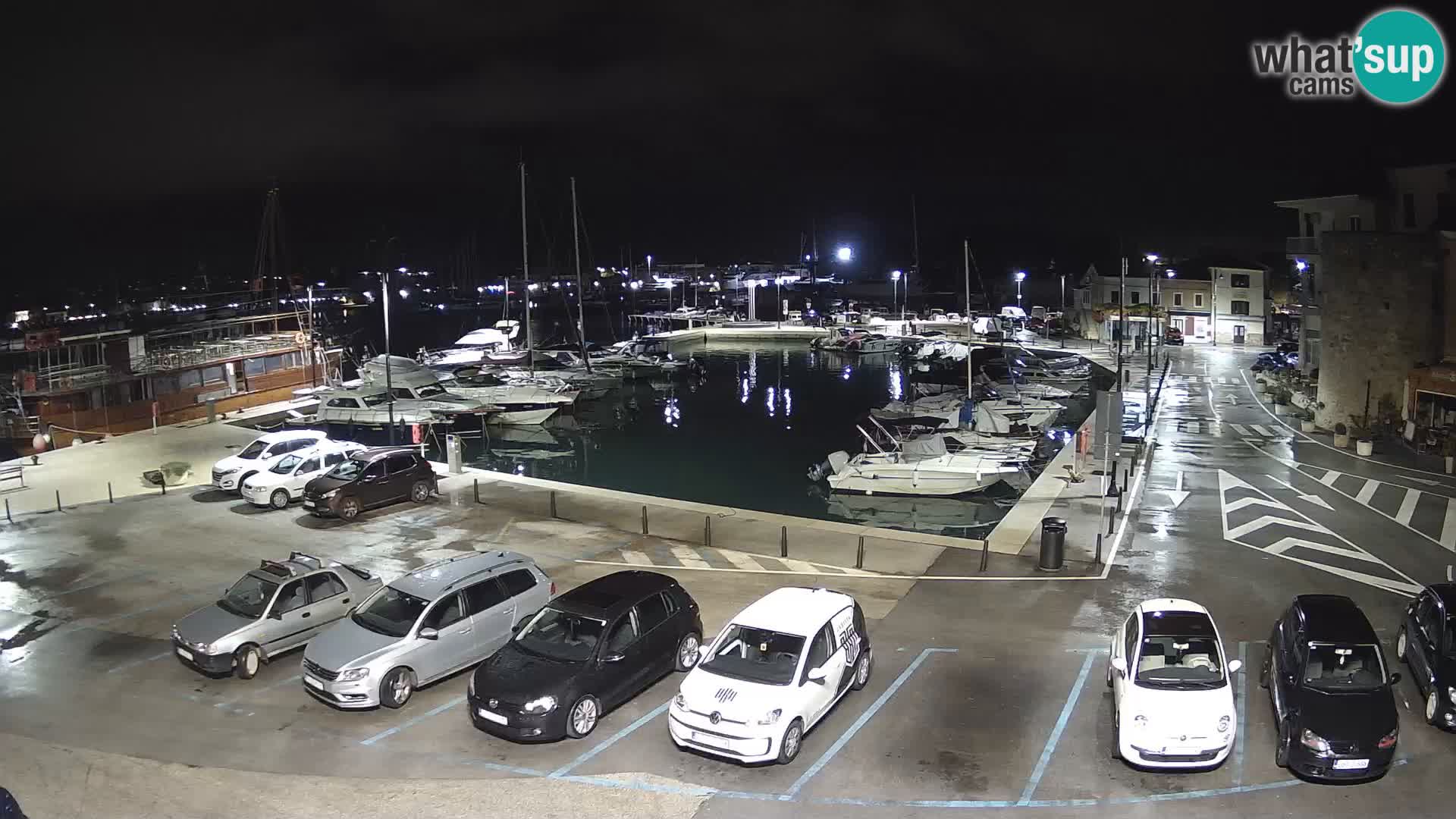 Novigrad | Porporela marina