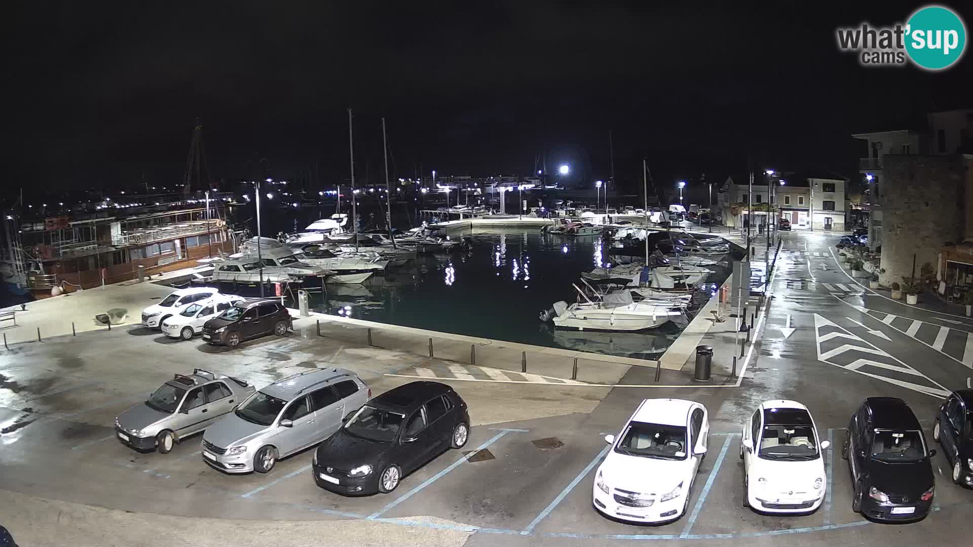 Novigrad | Porporela marina