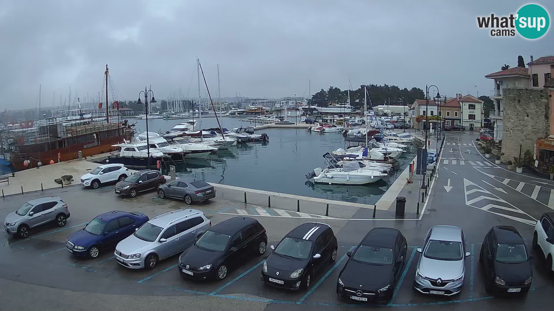 Novigrad | Porporela marina