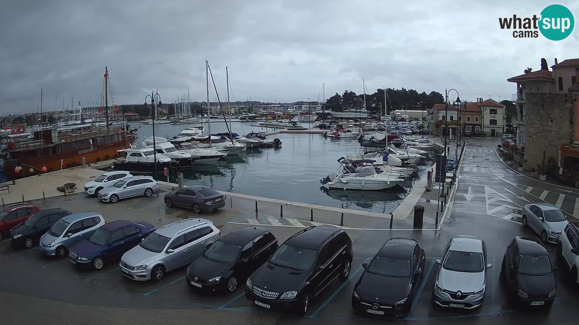 Novigrad | Porporela marina