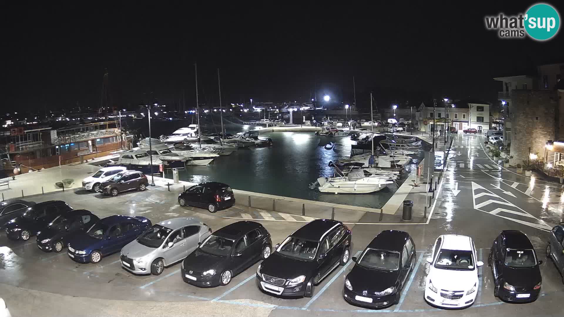 Novigrad | Porporela marina