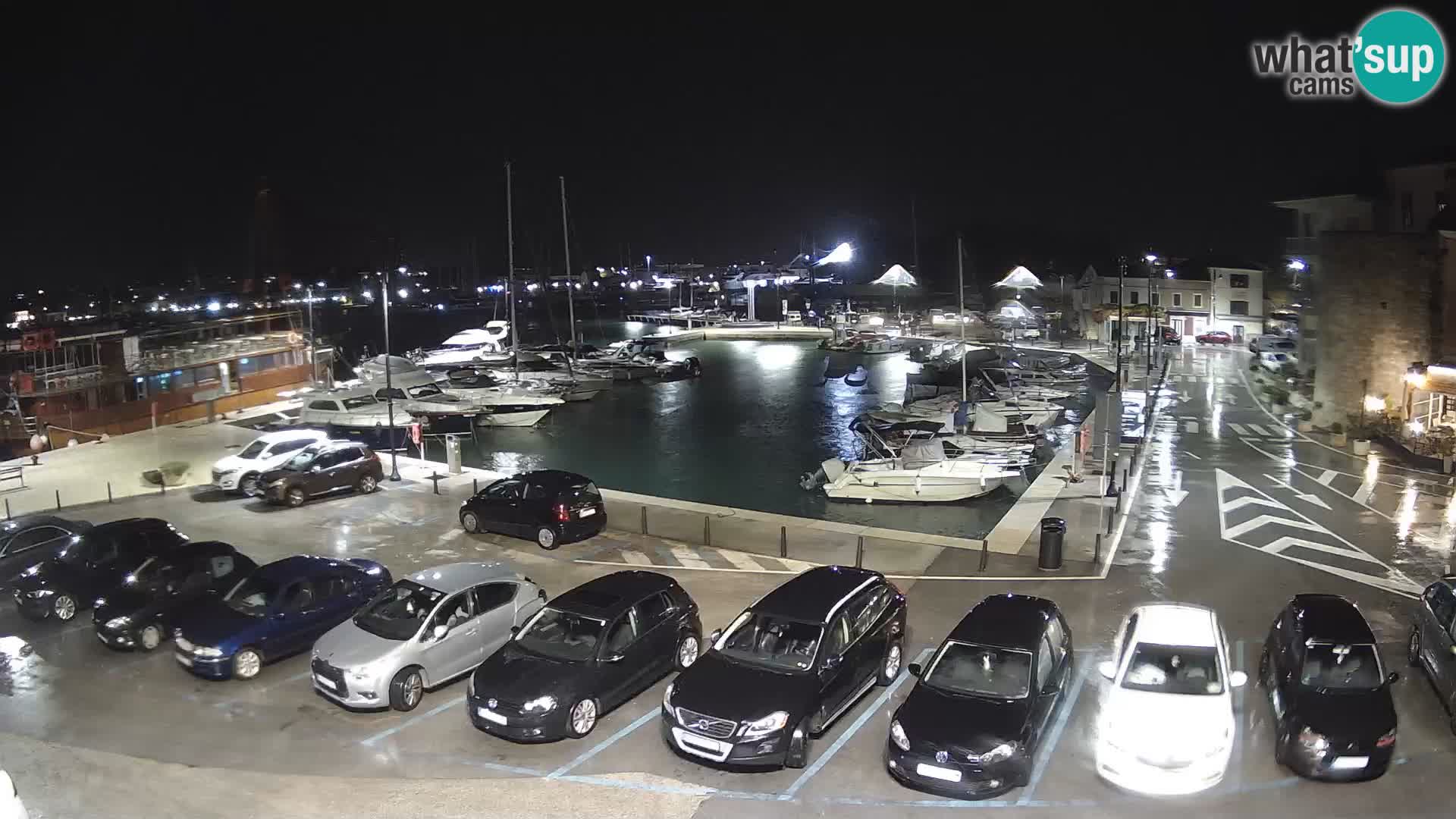 Novigrad | Porporela marina