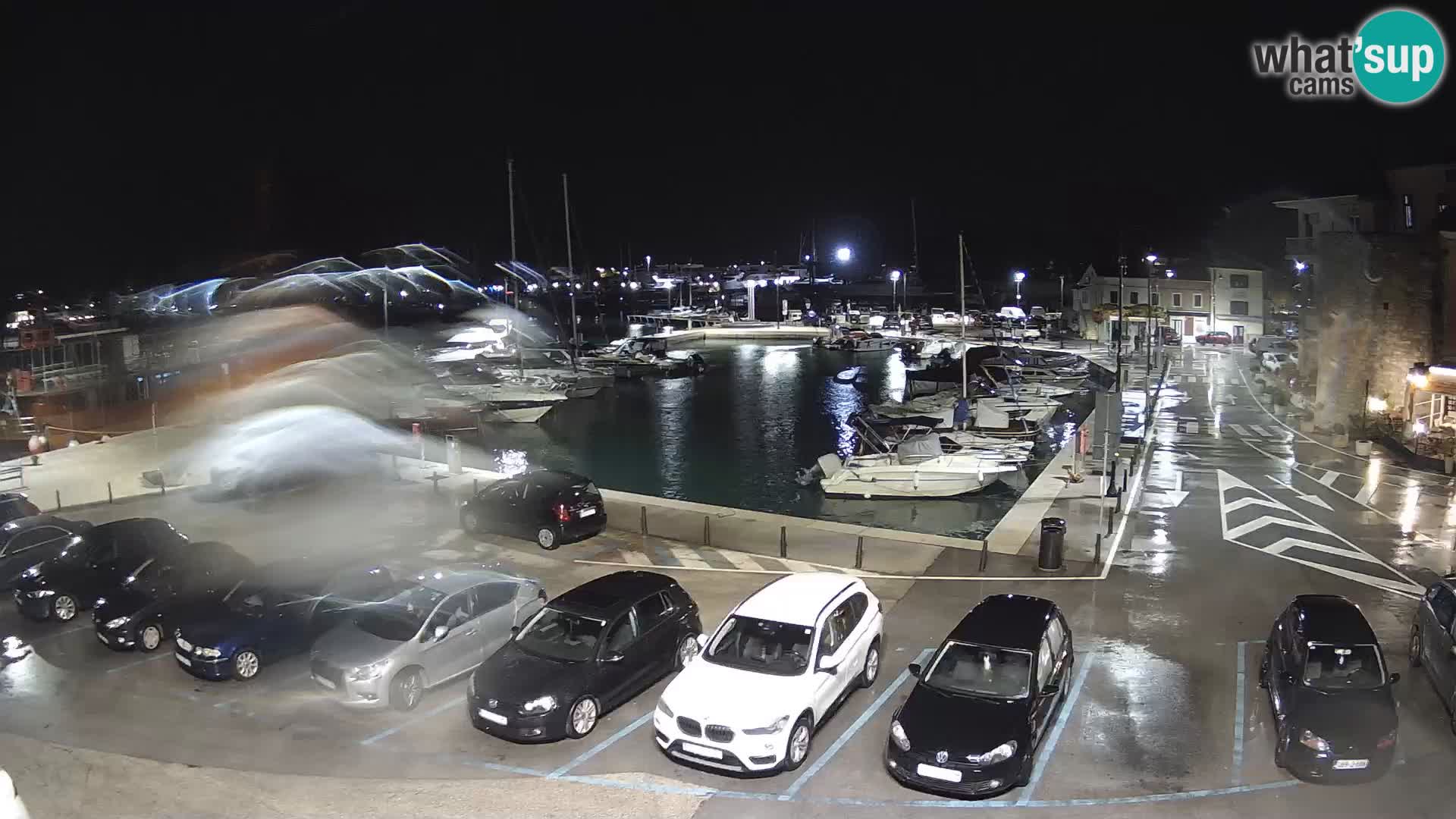 Novigrad | Porporela marina