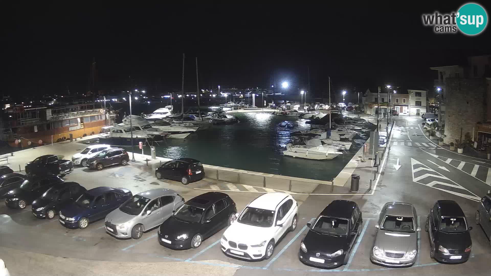 Novigrad | Porporela marina
