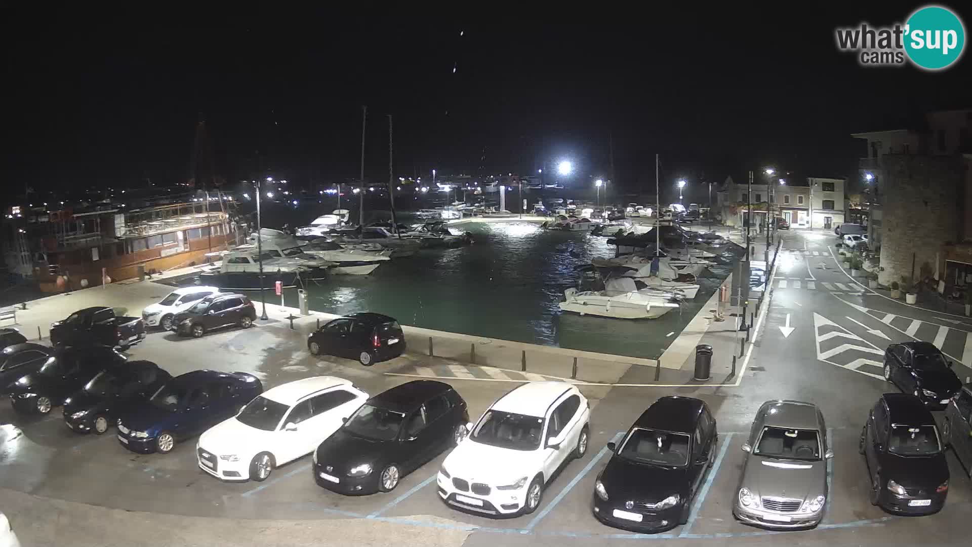 Novigrad | Porporela marina