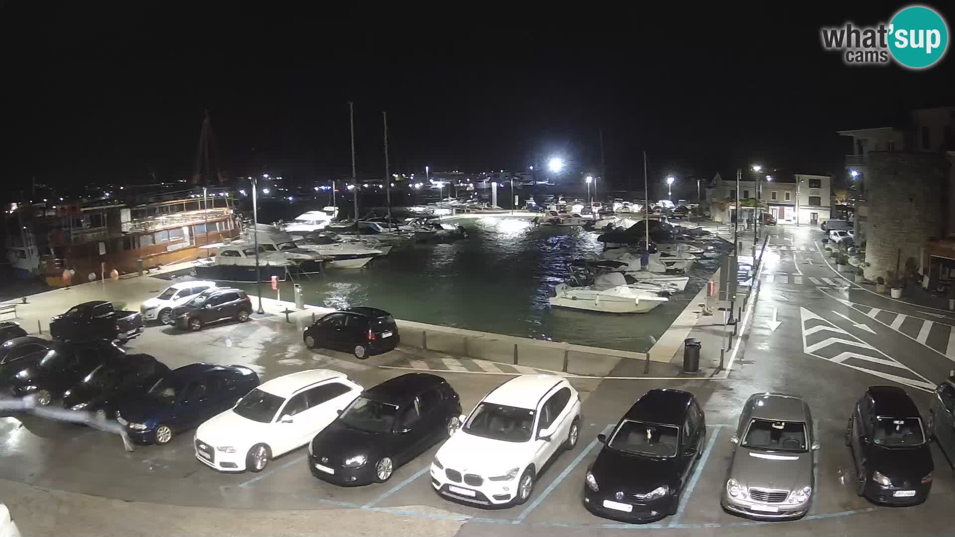 Novigrad | Porporela marina