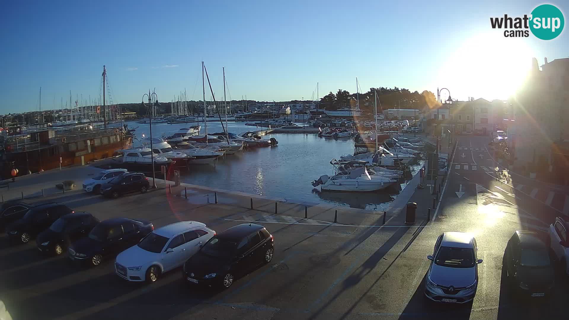 Novigrad | Porporela marina