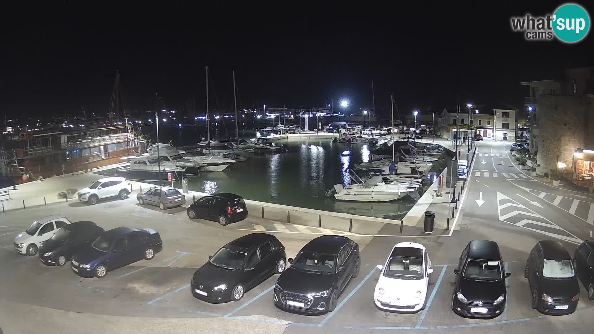 Novigrad | Porporela marina