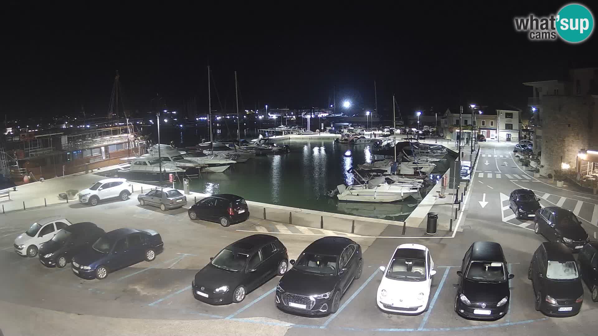 Novigrad | Porporela marina