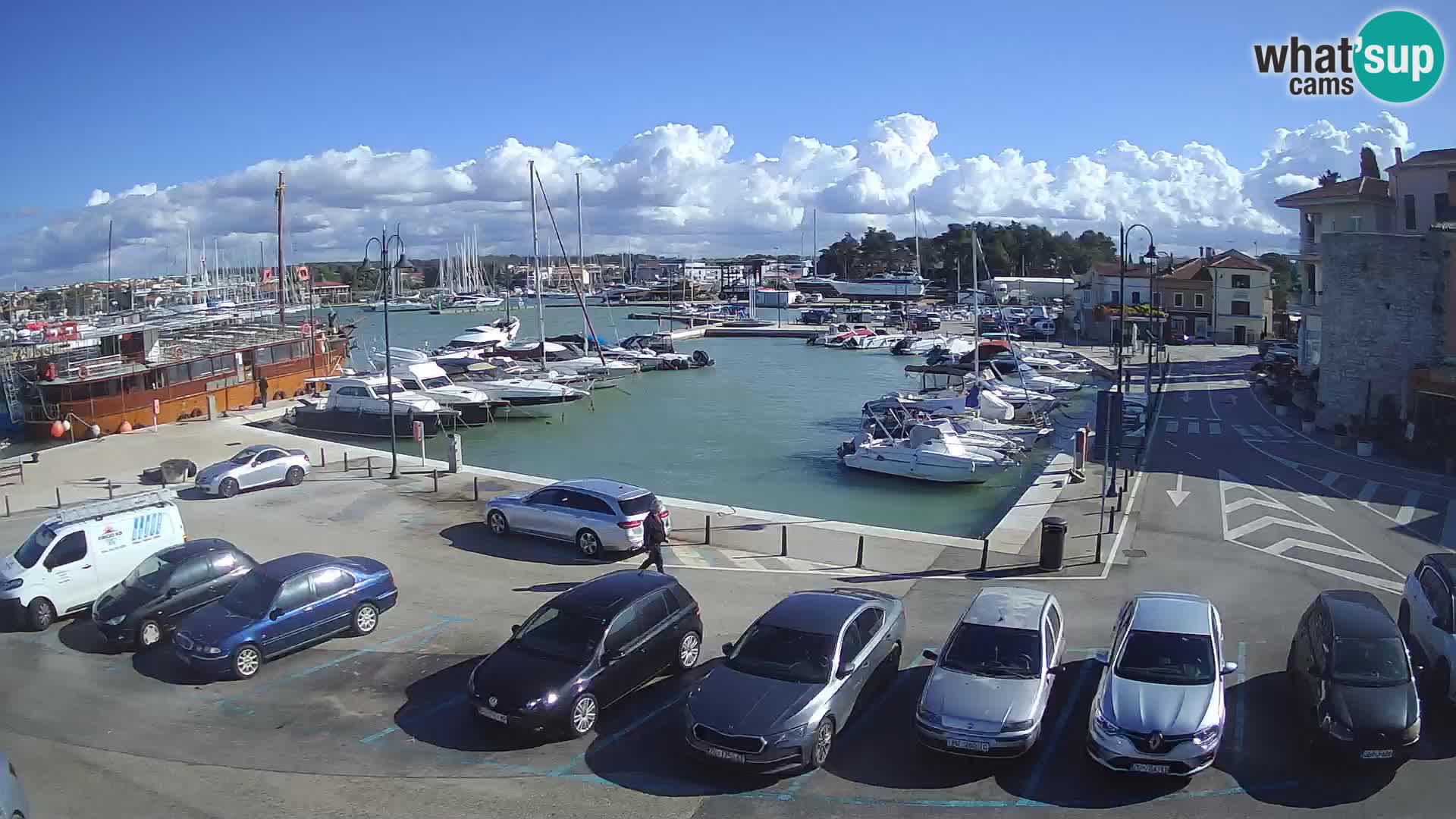 Novigrad | Porporela marina