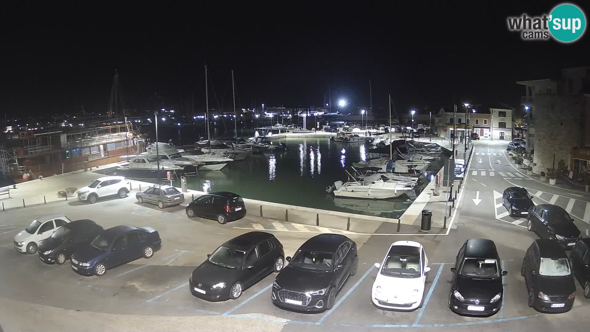 Novigrad | Porporela marina