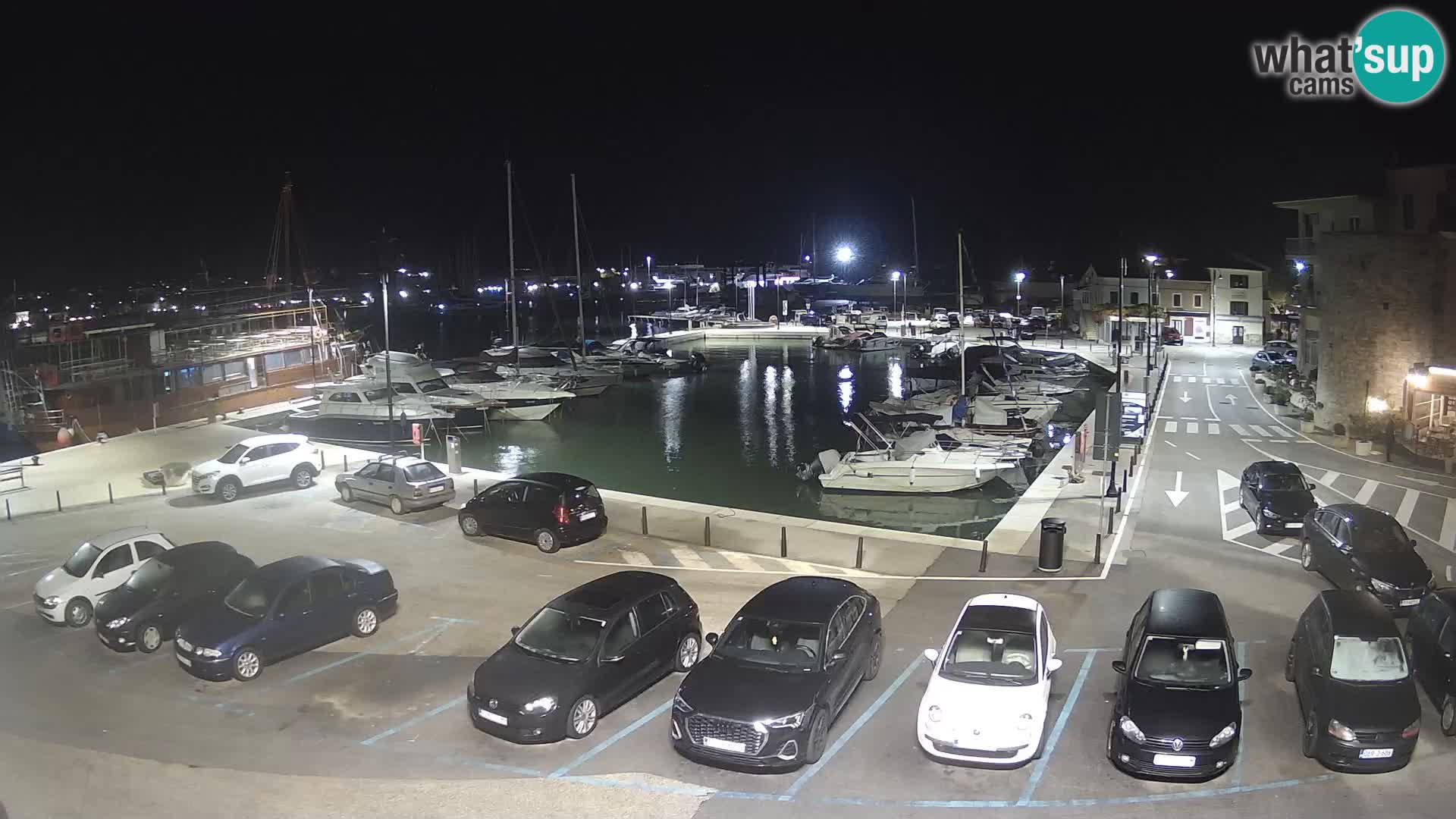 Novigrad | Porporela marina