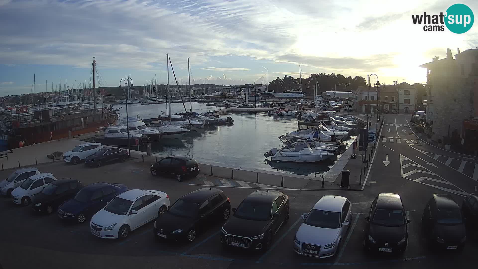 Novigrad | Porporela marina
