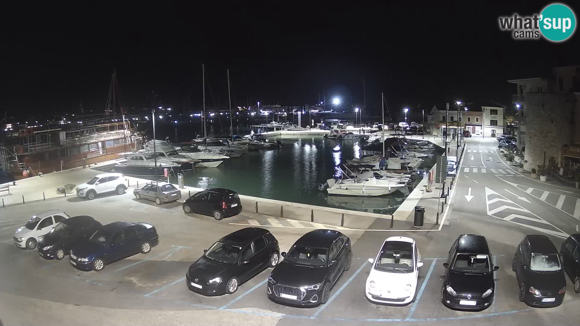 Novigrad | Porporela marina