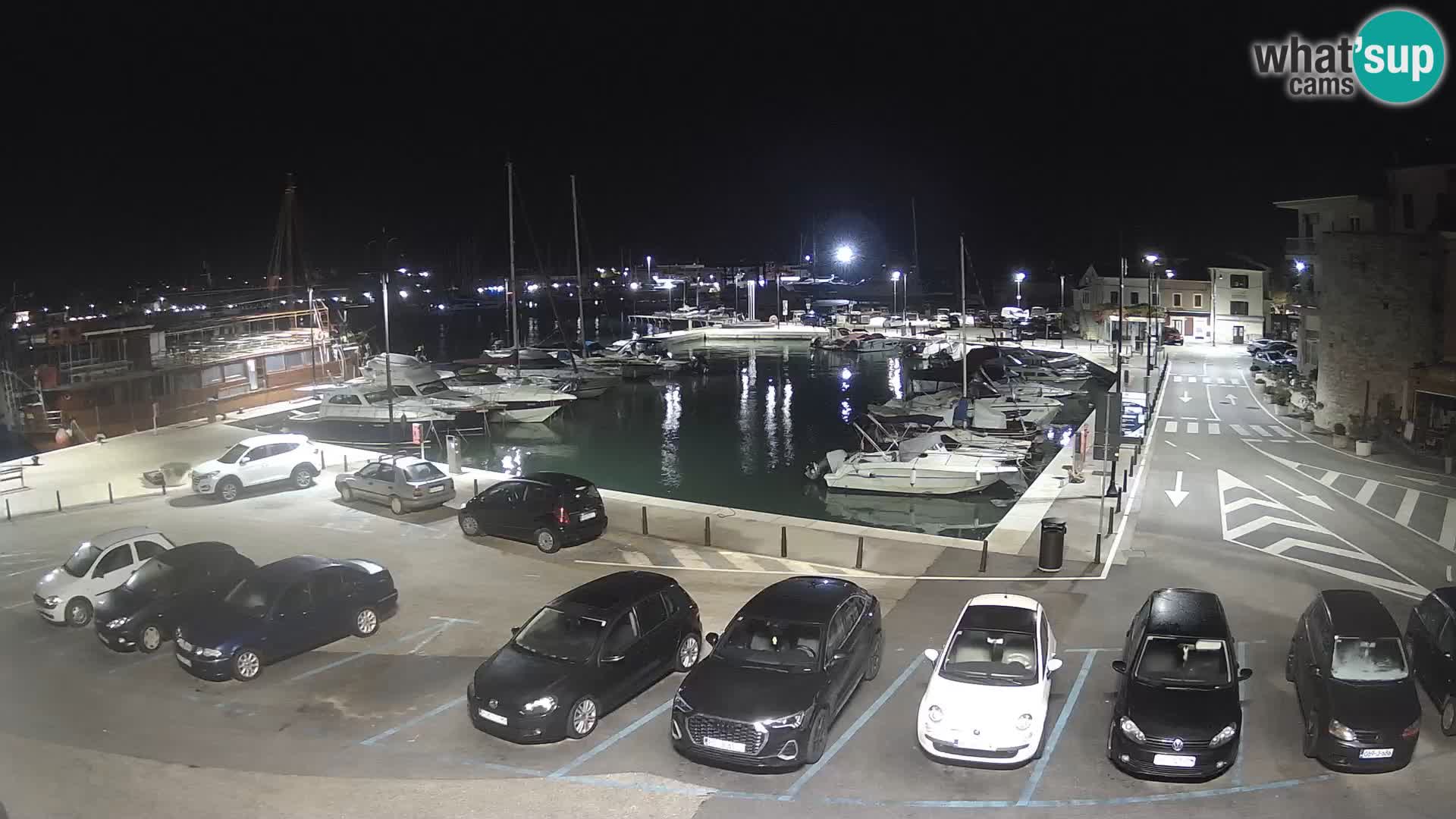 Novigrad | Porporela marina