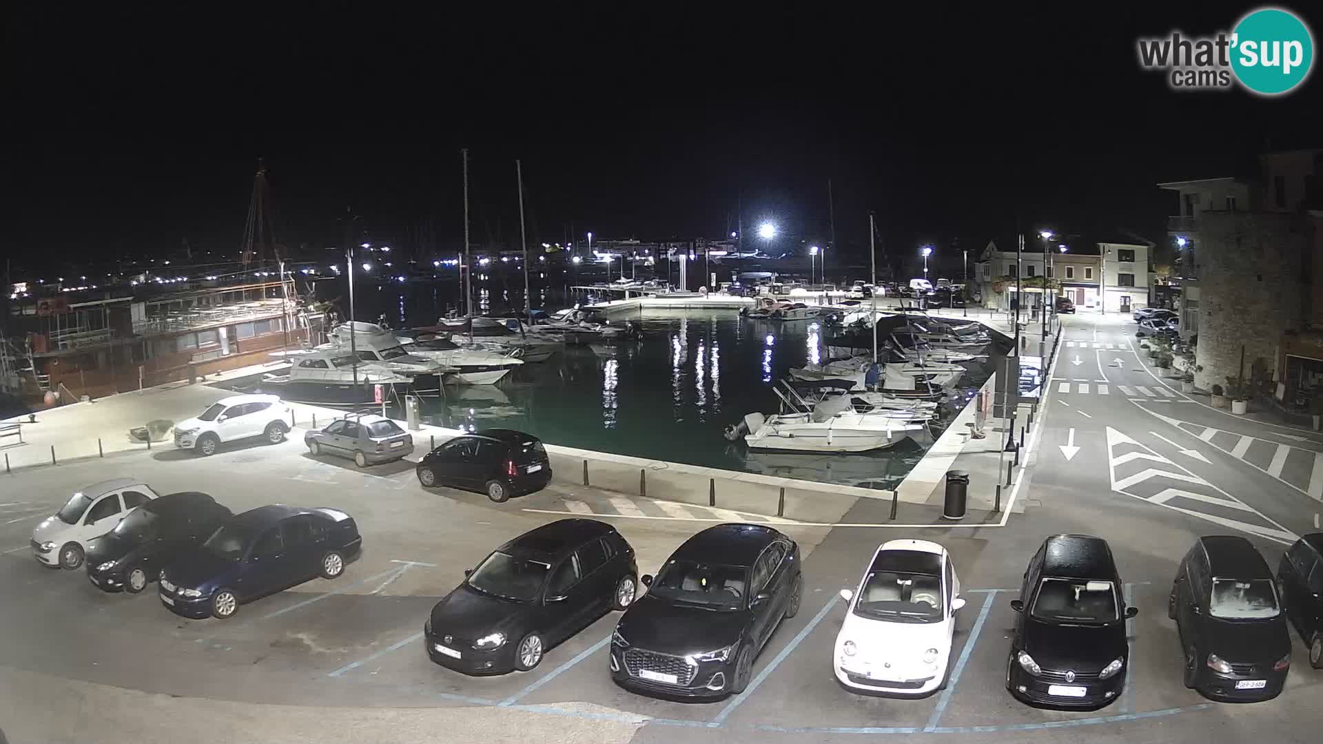 Novigrad | Porporela marina