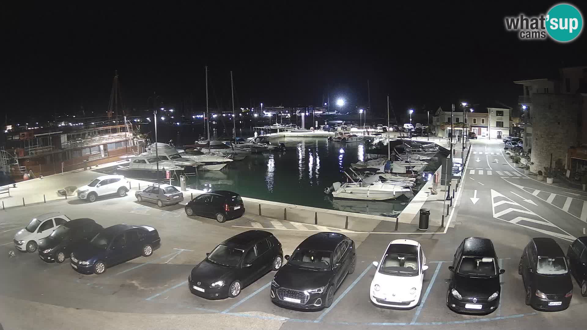 Novigrad | Porporela marina