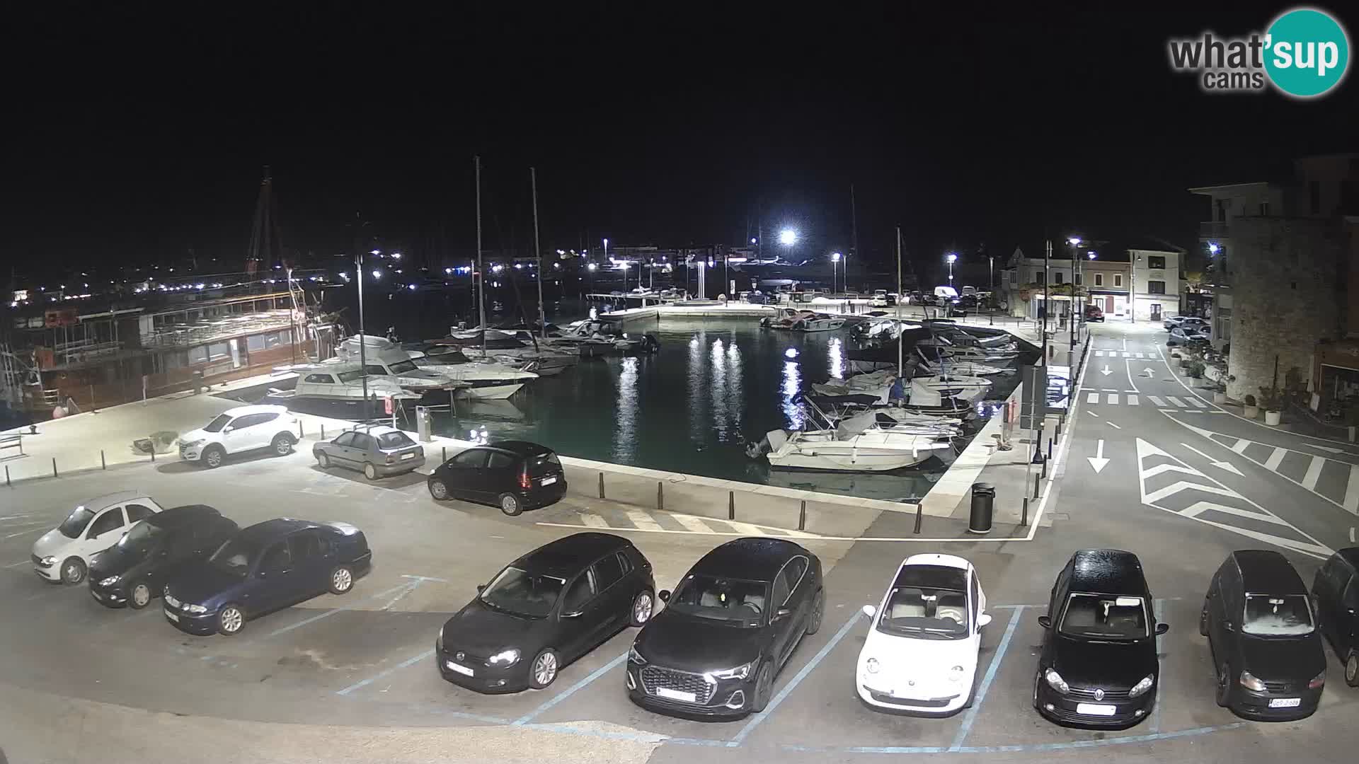 Novigrad | Porporela marina