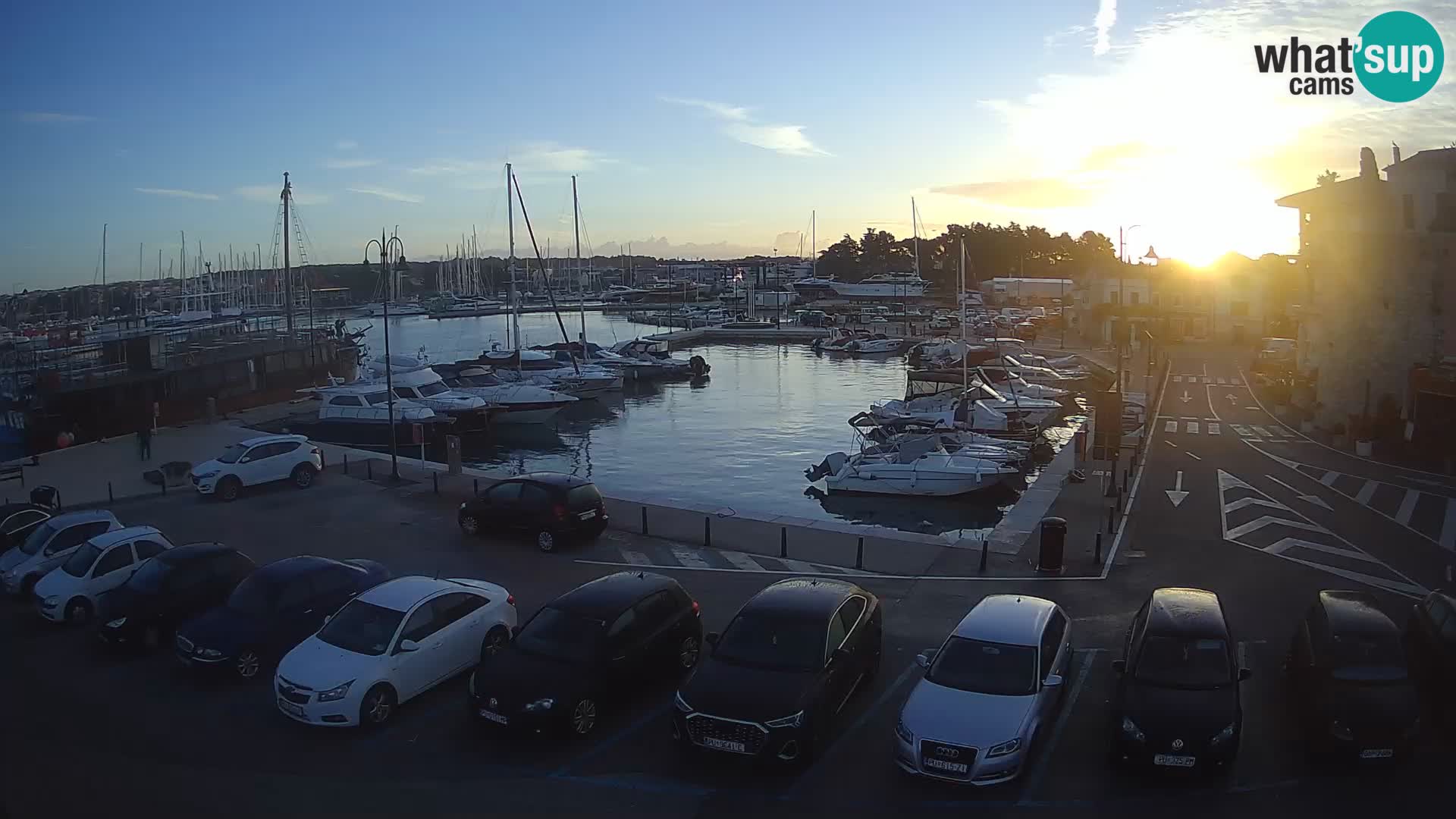 Novigrad | Porporela marina