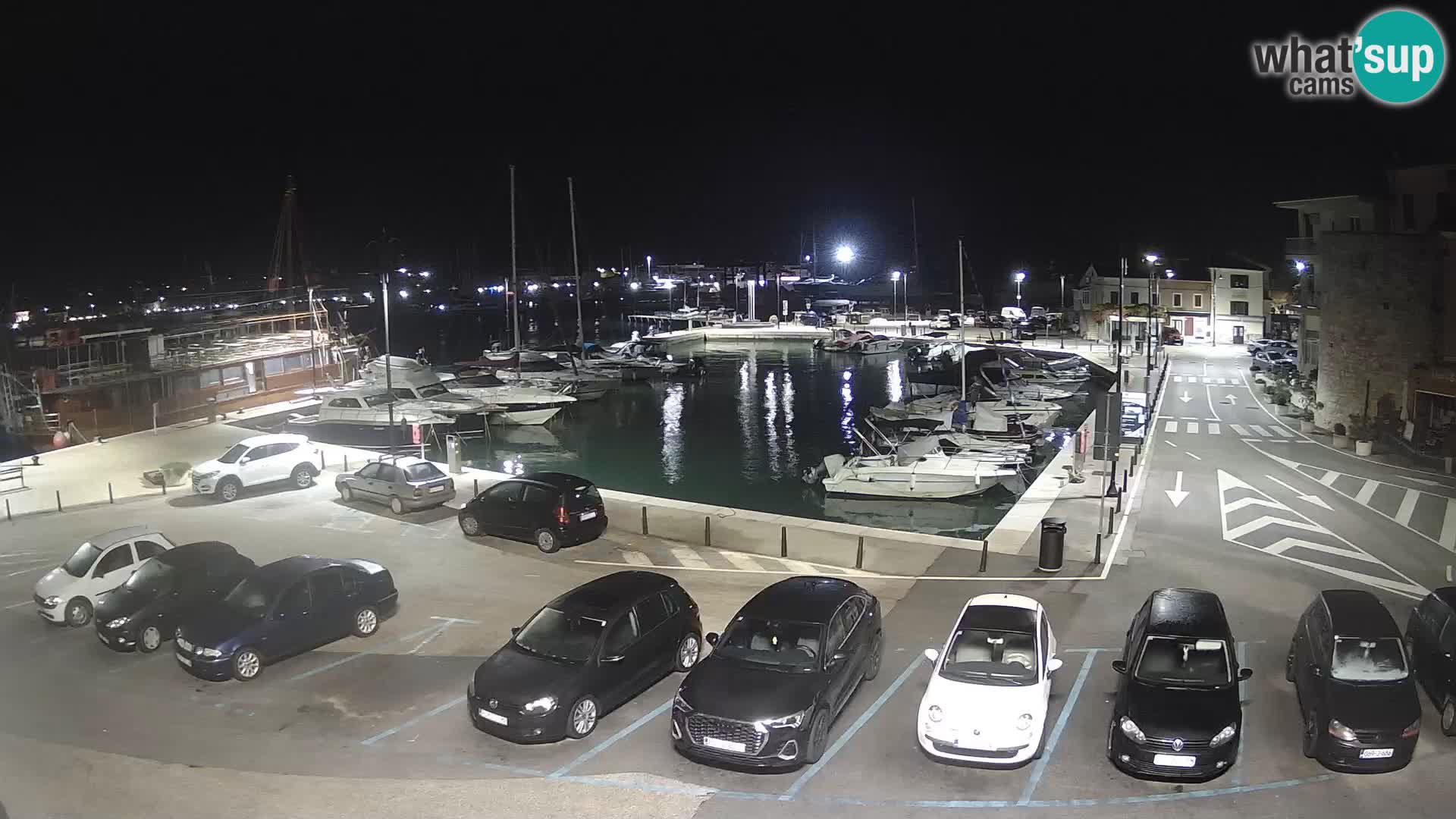Novigrad | Porporela marina