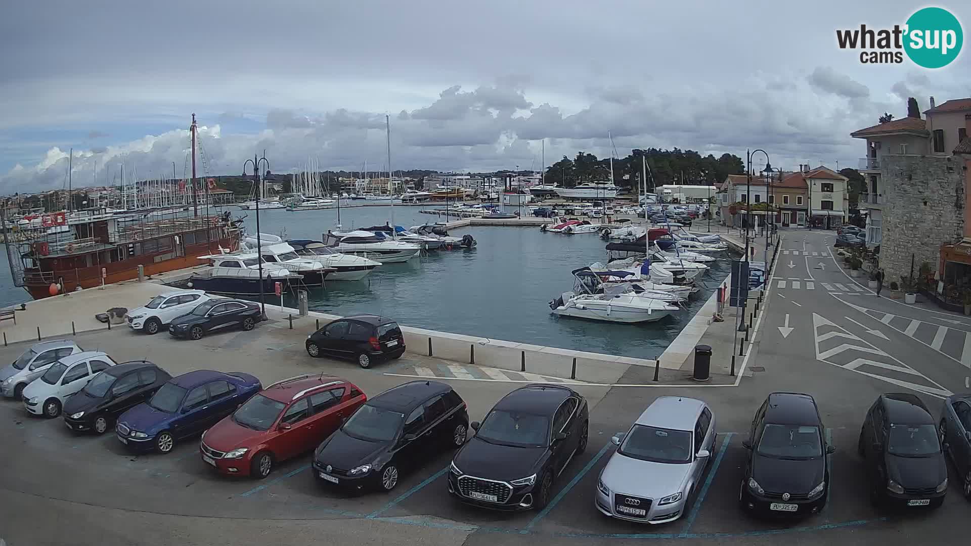 Novigrad | Porporela marina