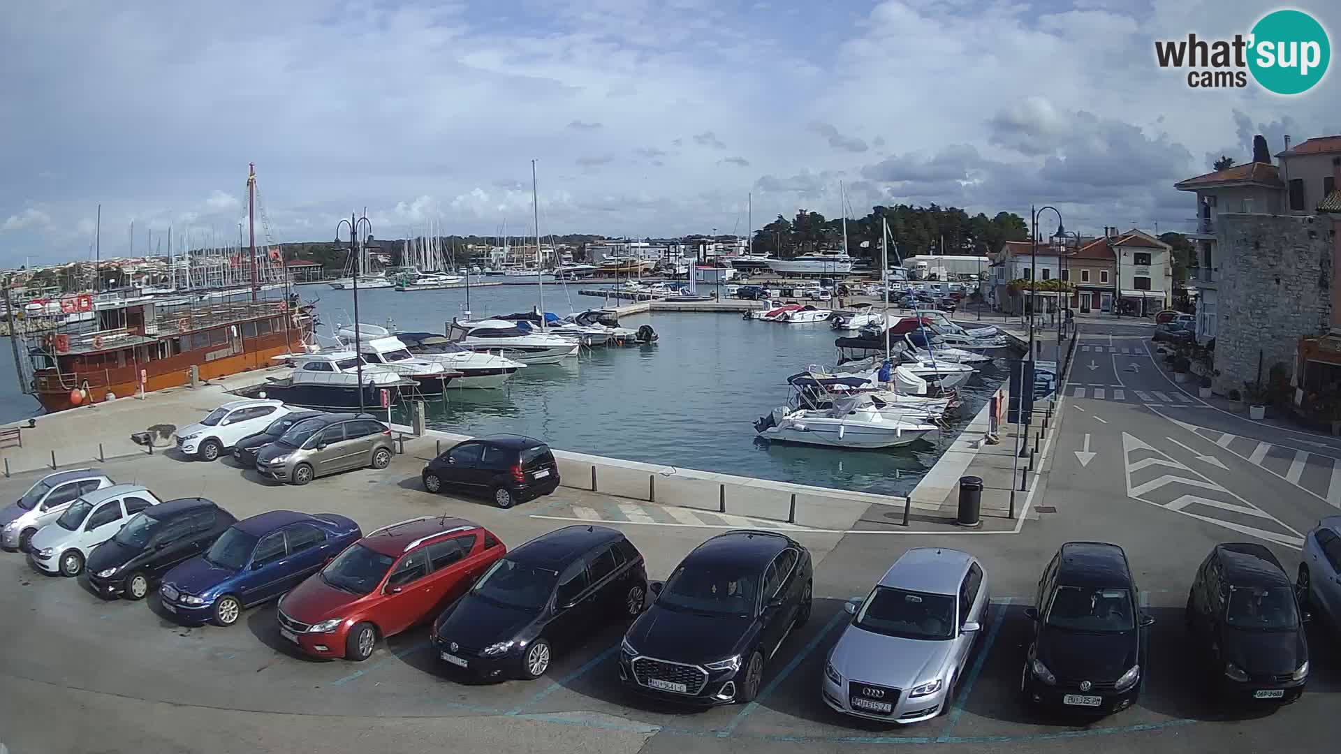 Novigrad | Porporela marina