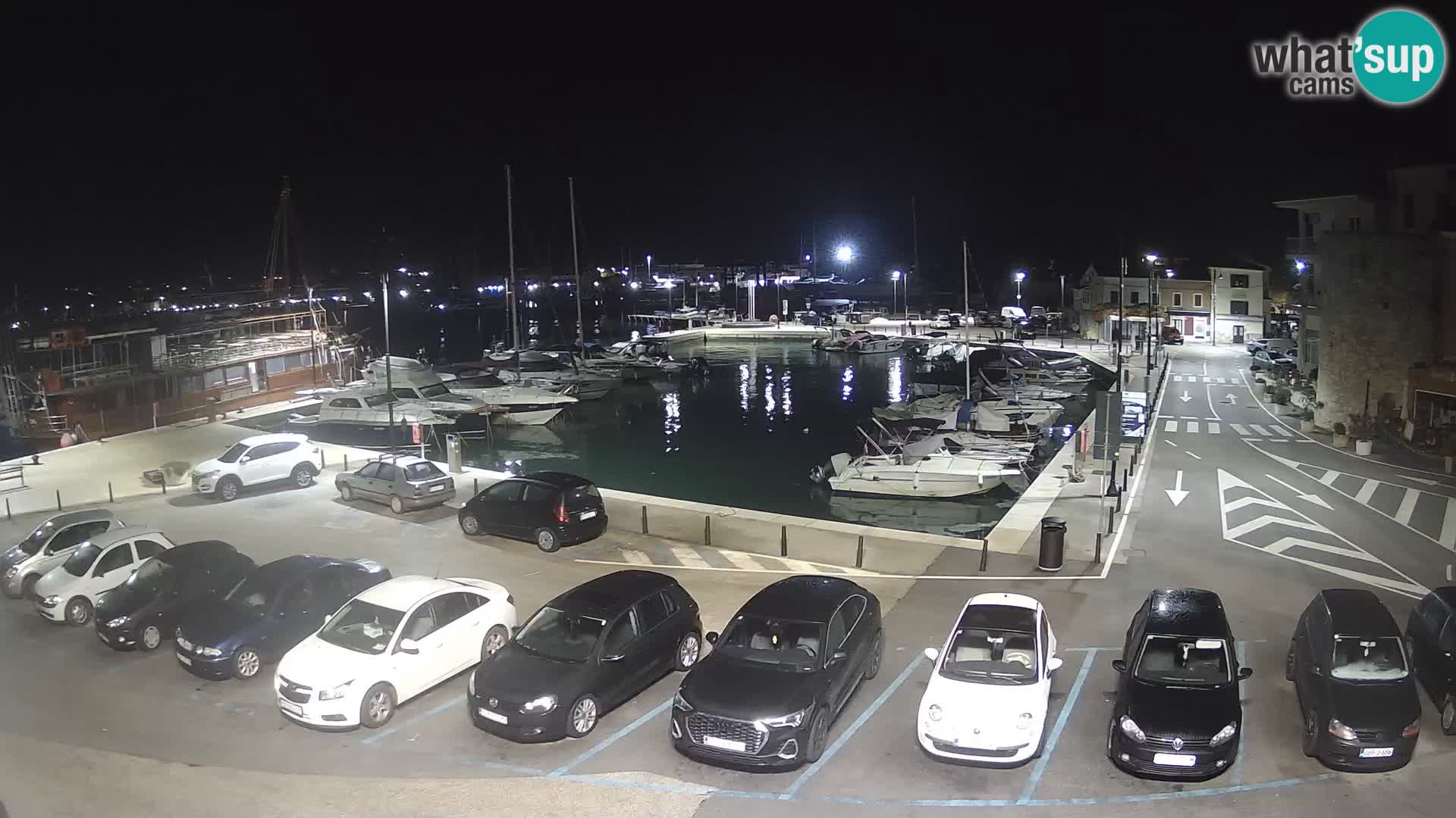 Novigrad | Porporela marina