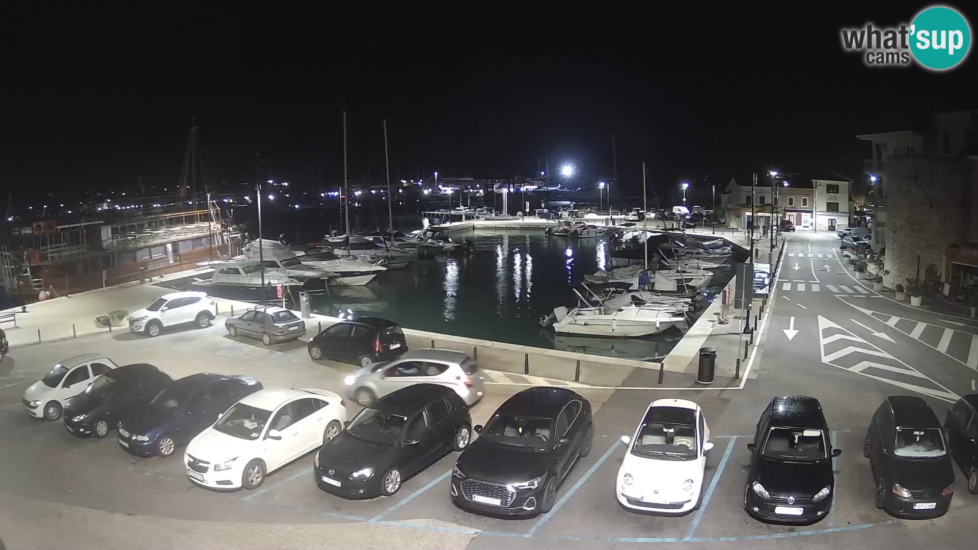 Novigrad | Porporela marina