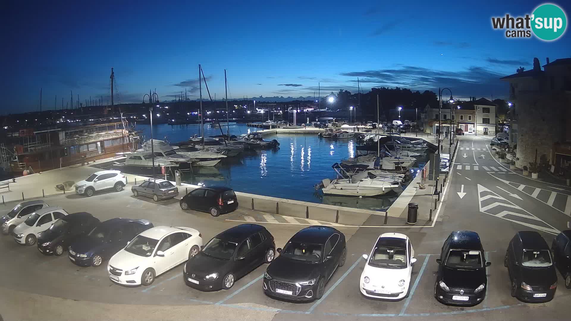 Novigrad | Porporela marina