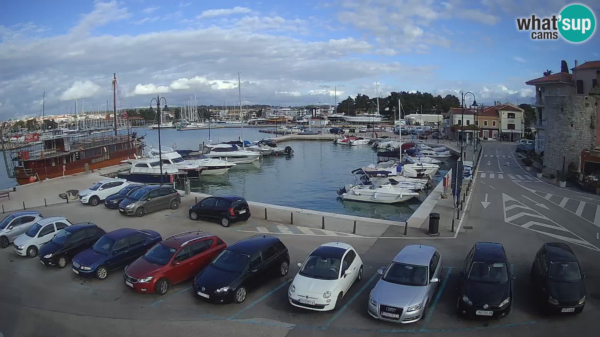 Novigrad | Porporela marina