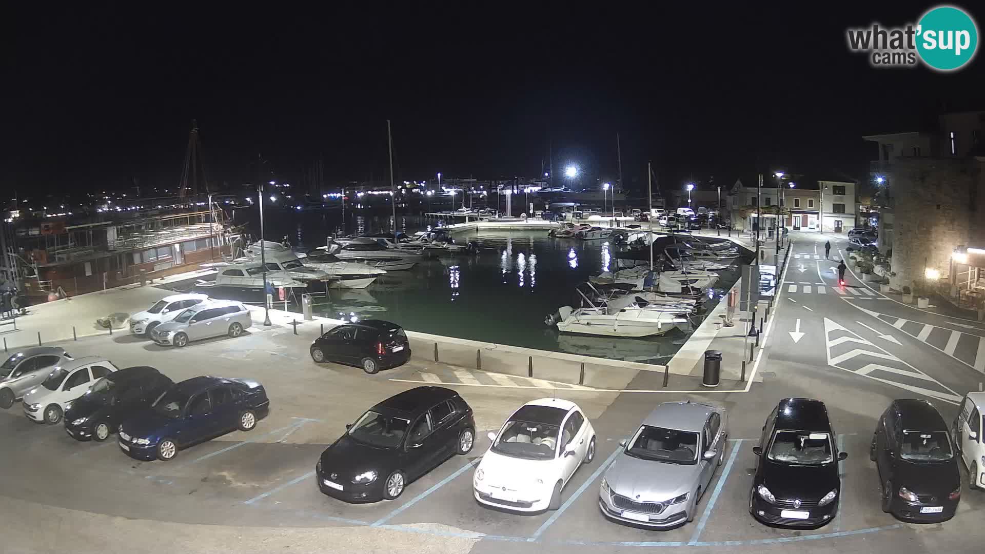 Novigrad | Porporela marina