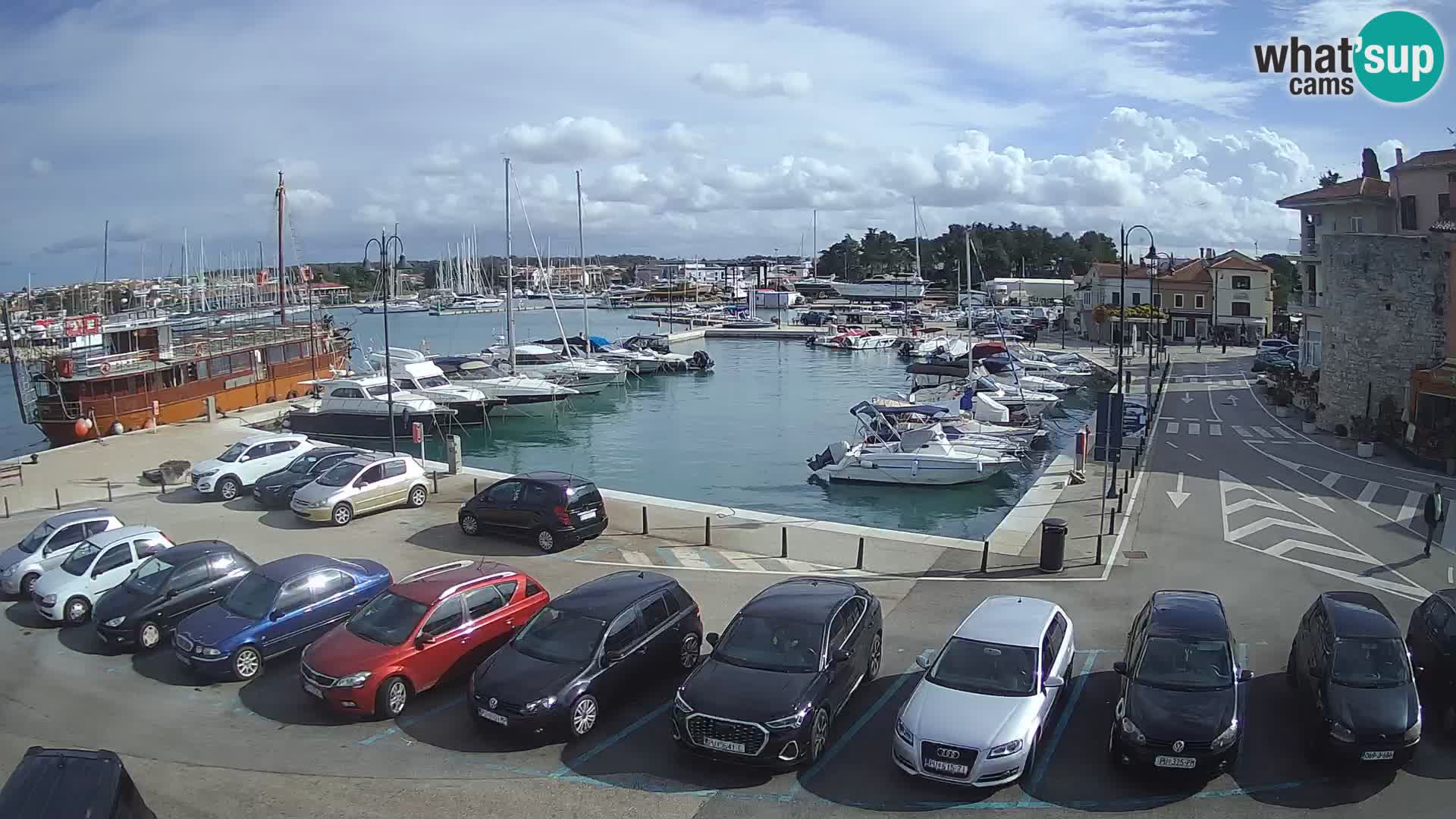 Novigrad | Porporela marina