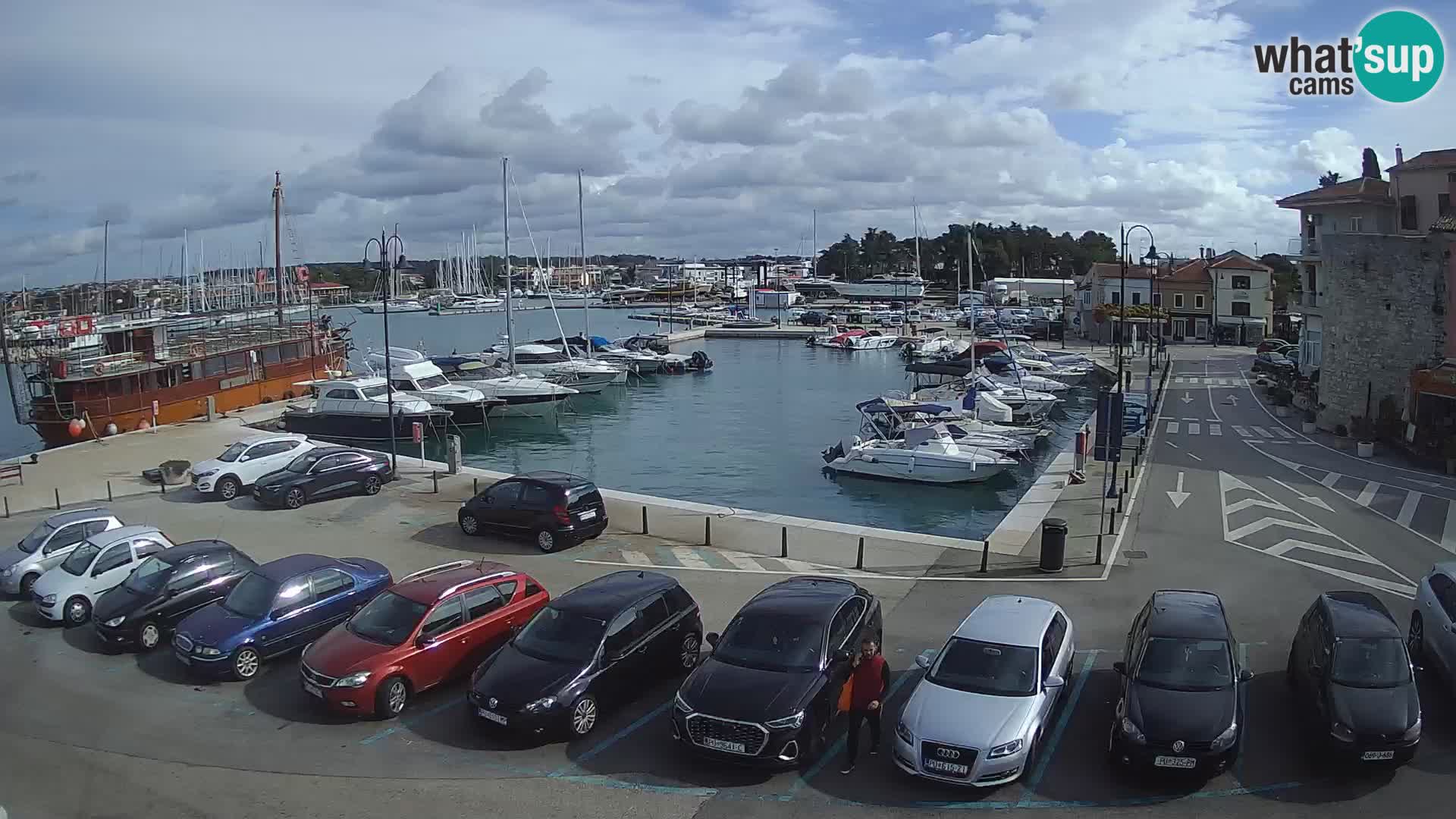 Novigrad | Porporela marina