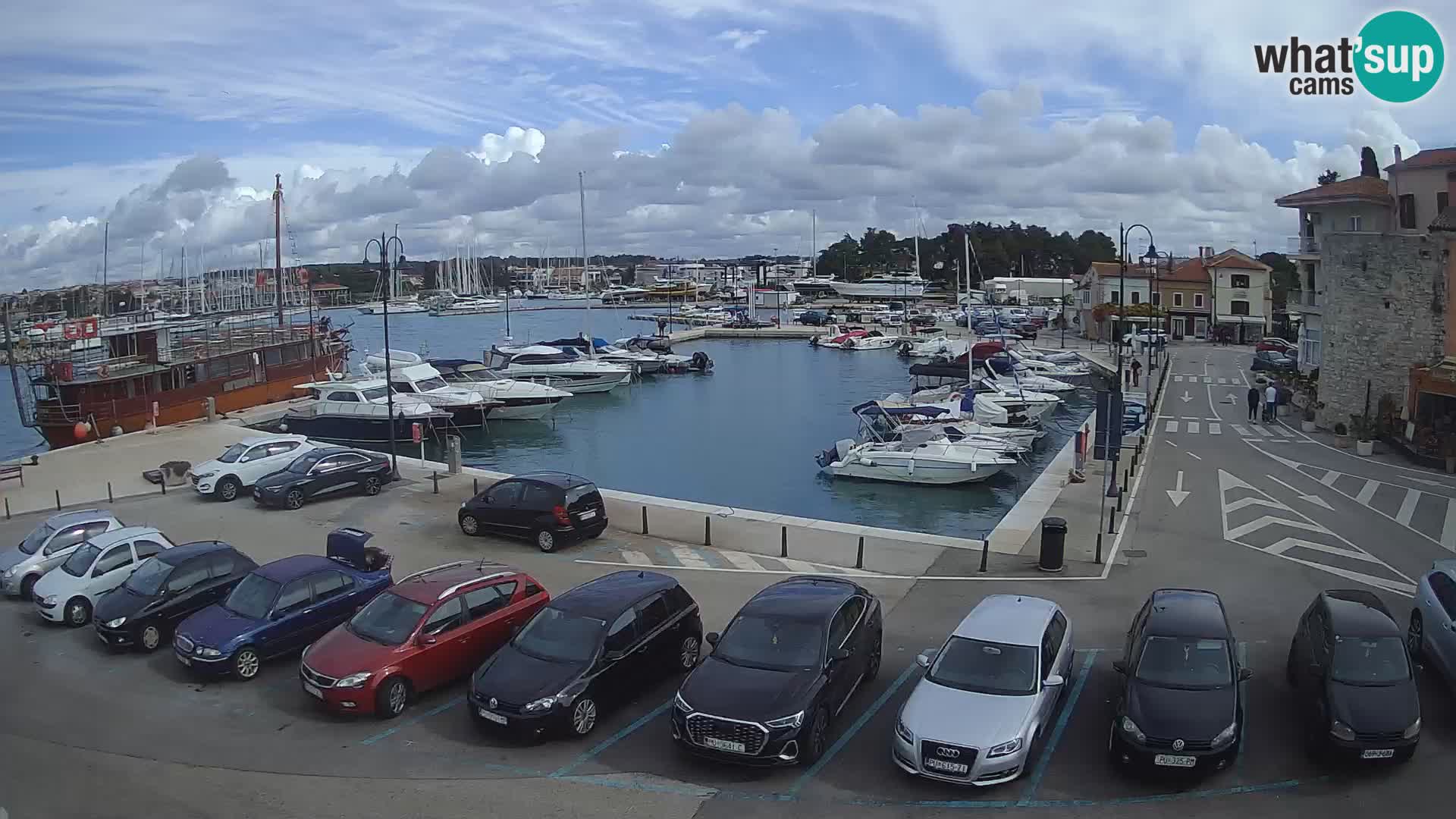 Novigrad | Porporela marina