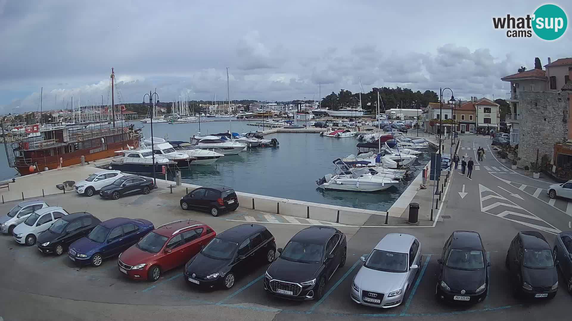 Novigrad | Porporela marina