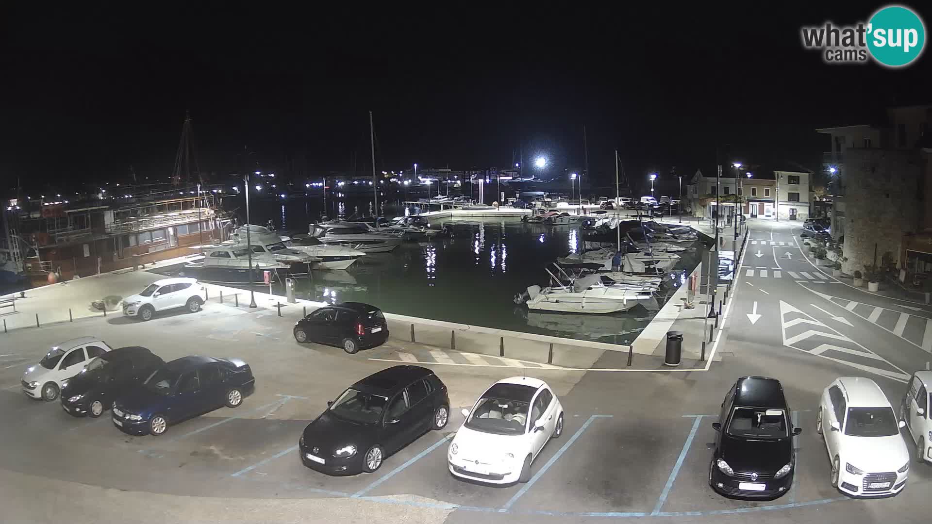 Novigrad | Porporela marina