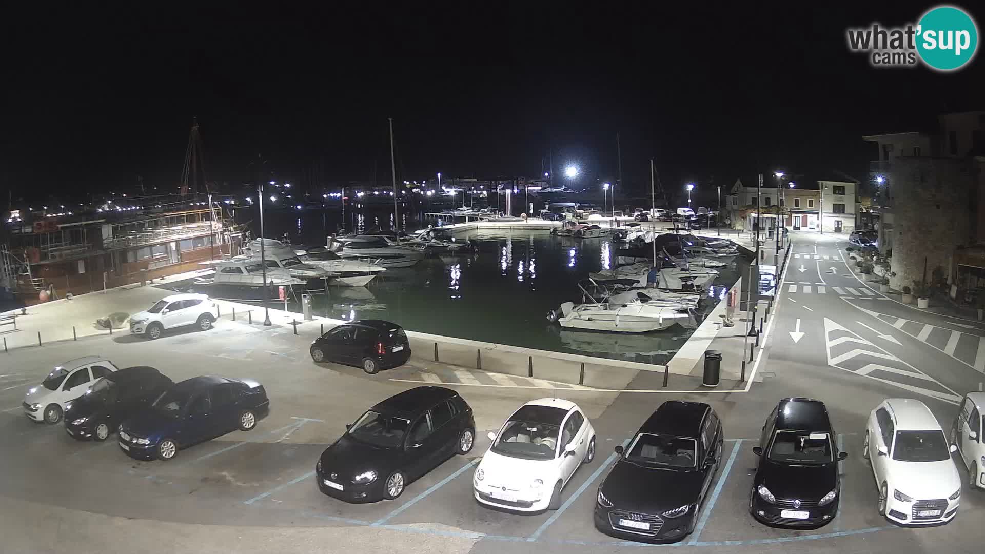 Novigrad | Porporela marina