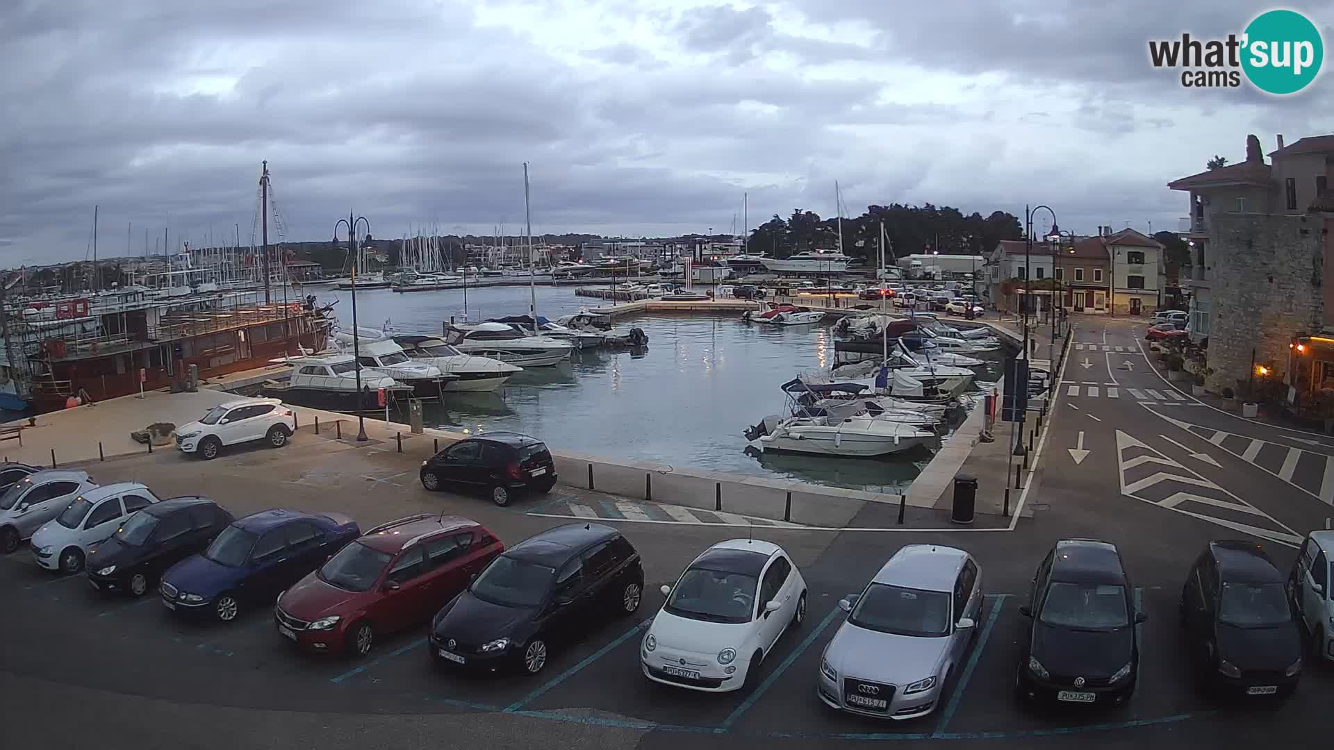 Novigrad | Porporela marina