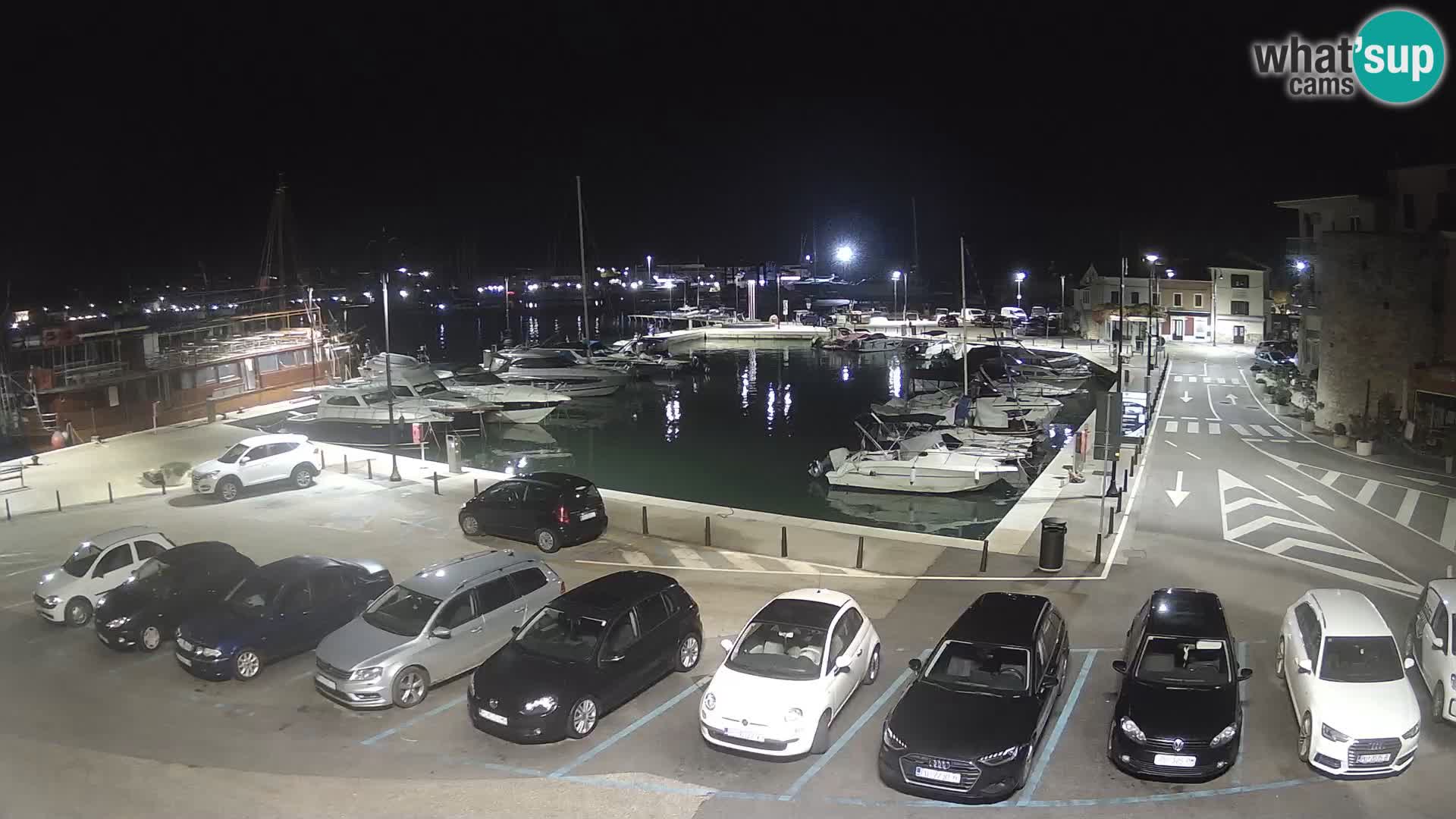 Novigrad | Porporela marina