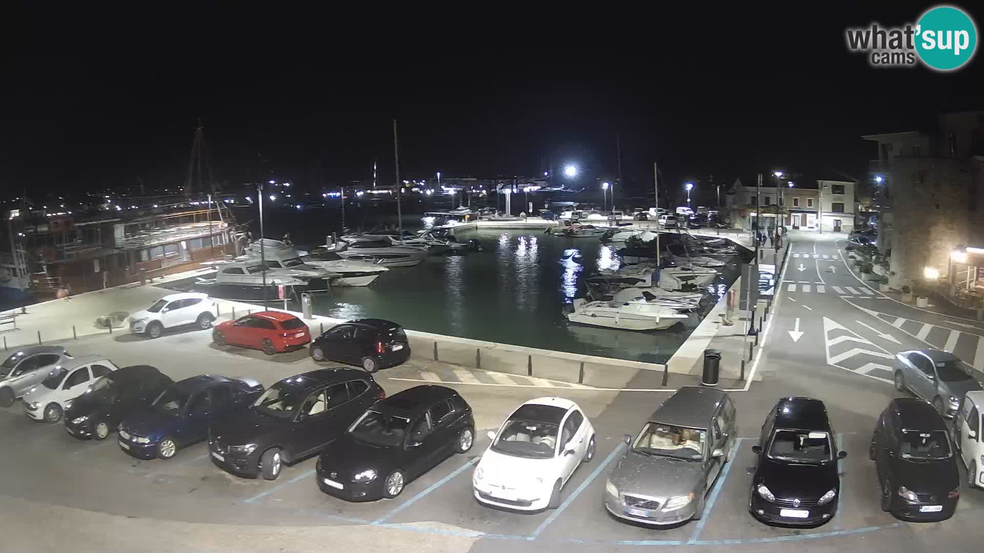 Novigrad | Porporela marina