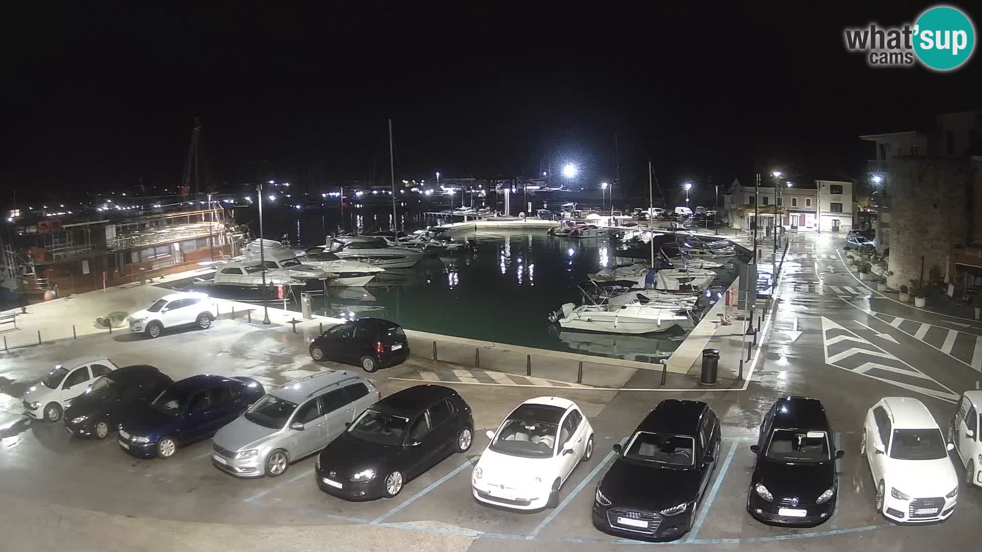 Novigrad | Porporela marina