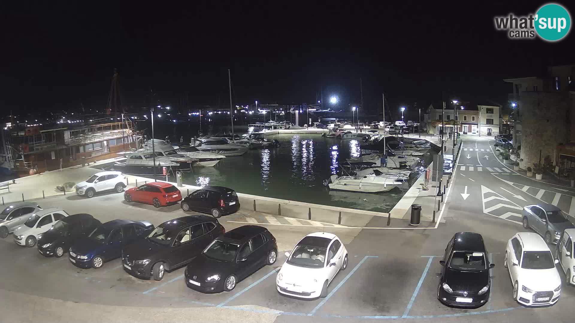 Novigrad | Porporela marina
