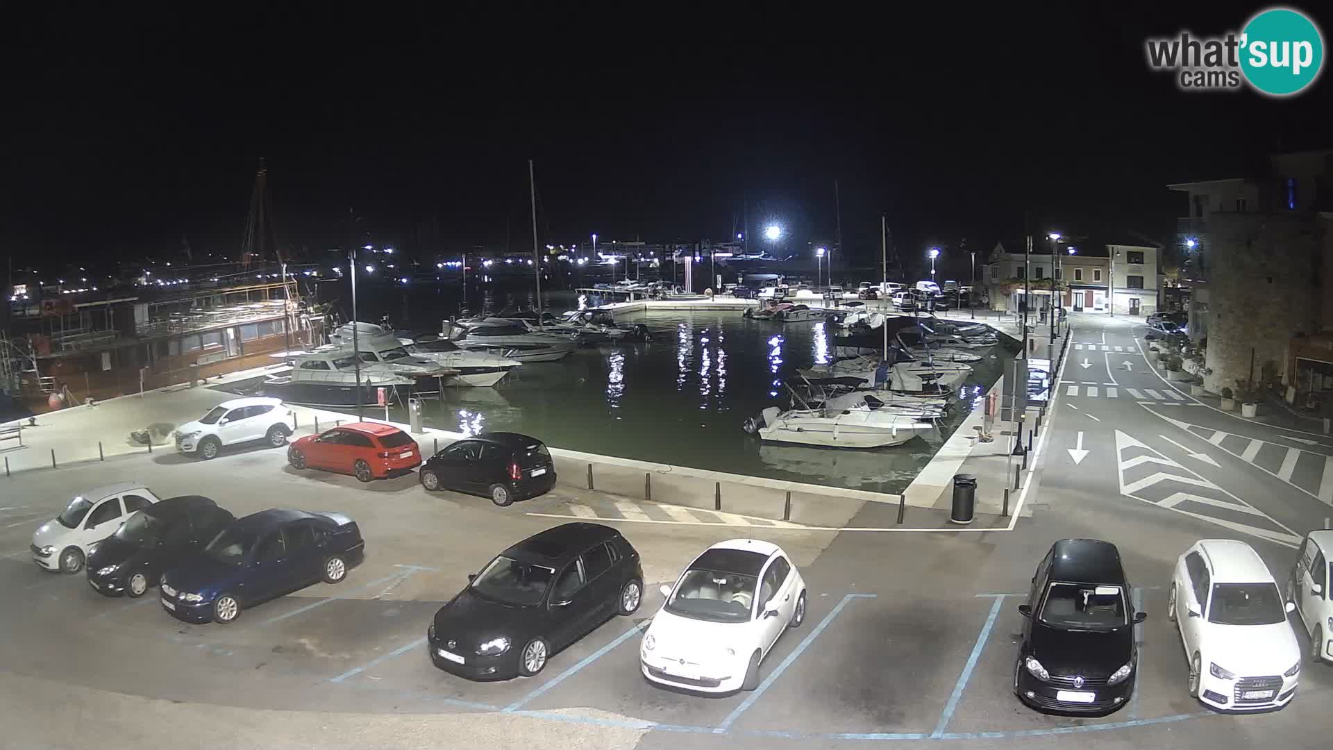 Novigrad | Porporela marina