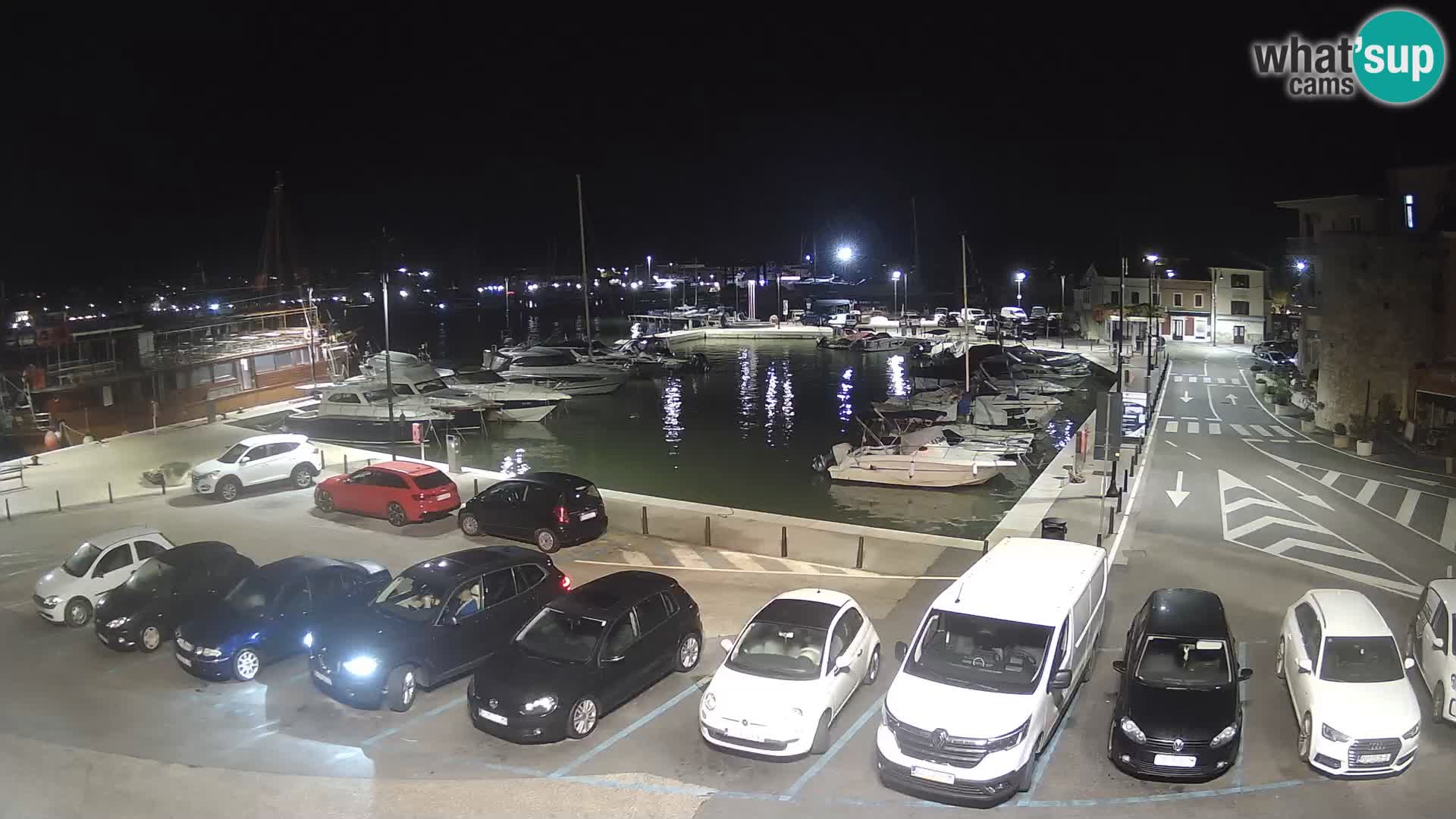 Novigrad | Porporela marina